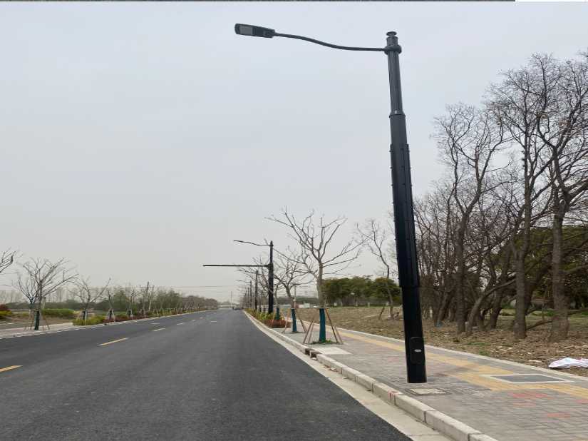 望奎县上海综合杆 太阳能路灯工程